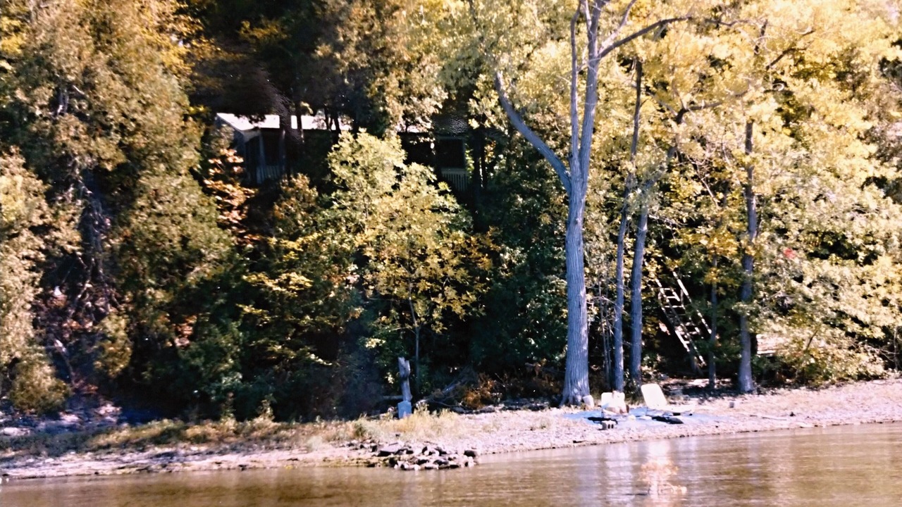 Photo of Others in Malletts Bay