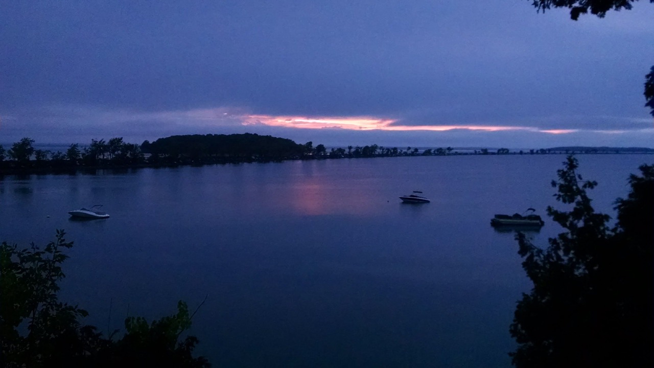 Photo of Others in Malletts Bay