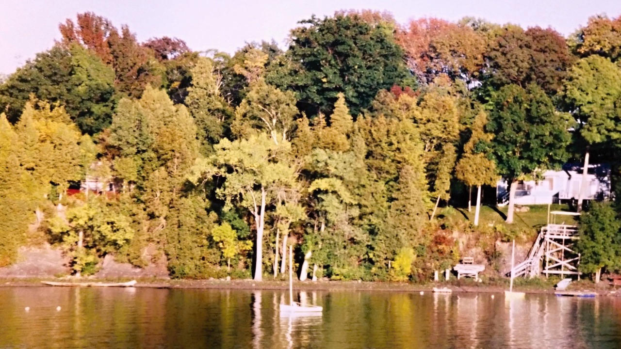 Photo of Others in Malletts Bay