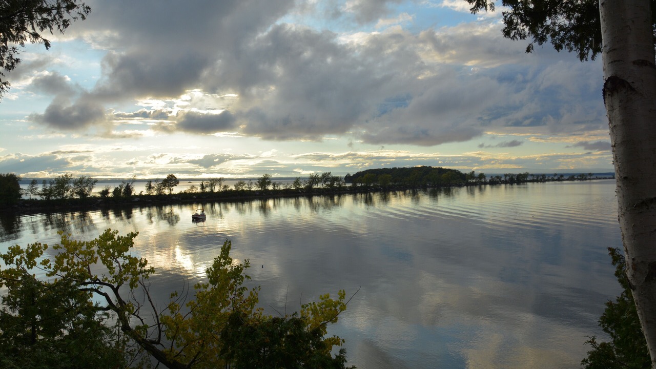 Photo of Others in Malletts Bay