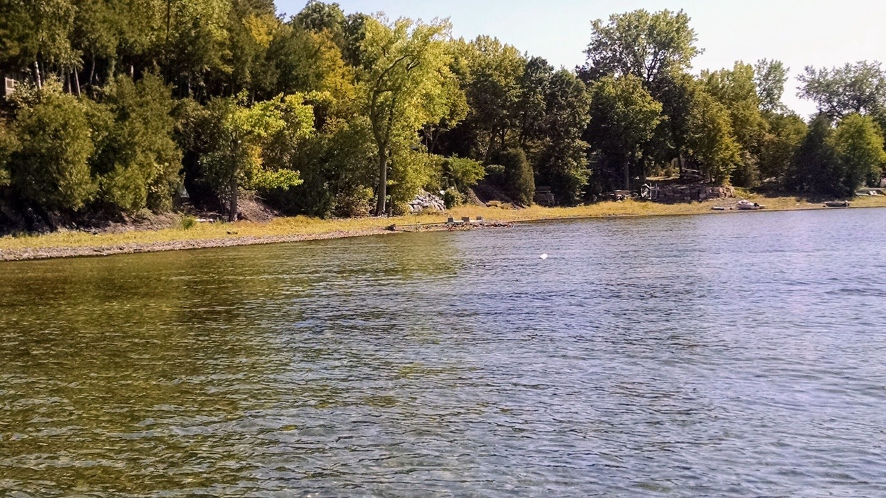 Photo of Others in Malletts Bay