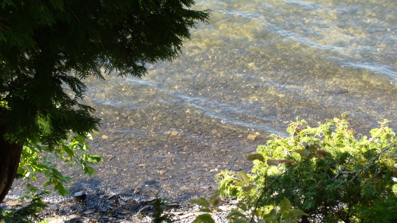 Photo of Others in Malletts Bay