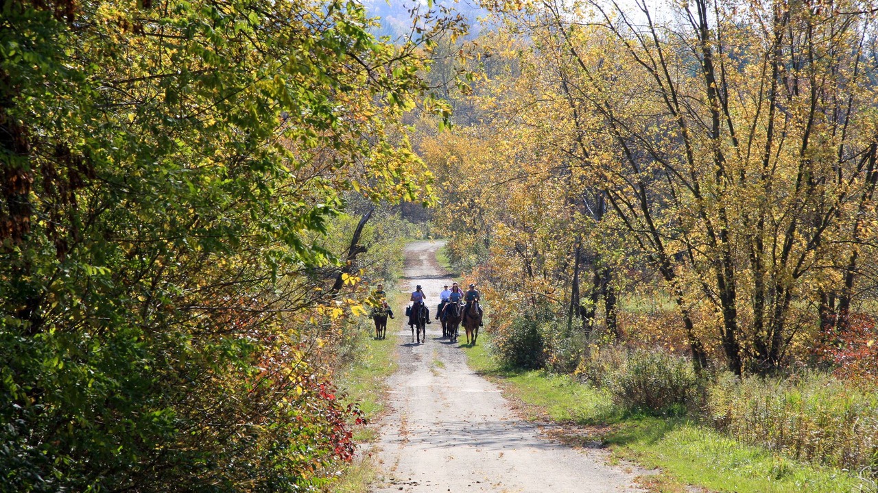 Photo of Others in Ontario
