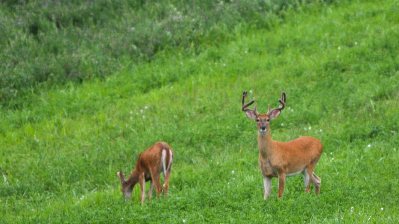 Photo of Others in Ontario