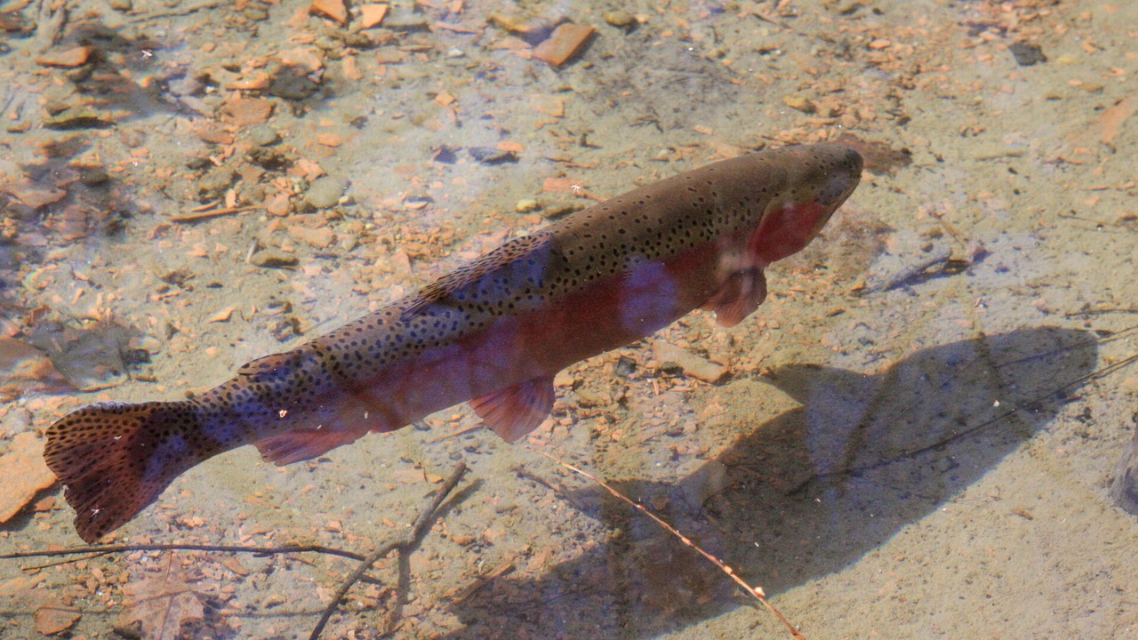 Photo of Others in Ontario