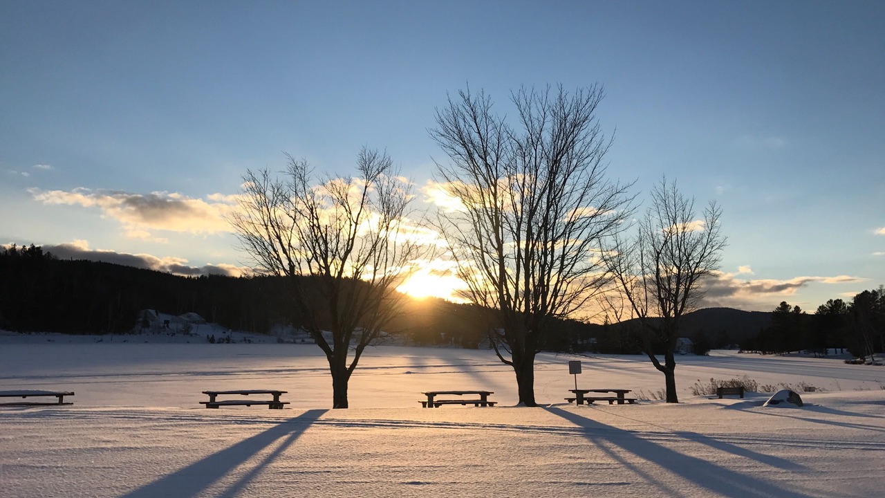 Photo of Others in West Danville