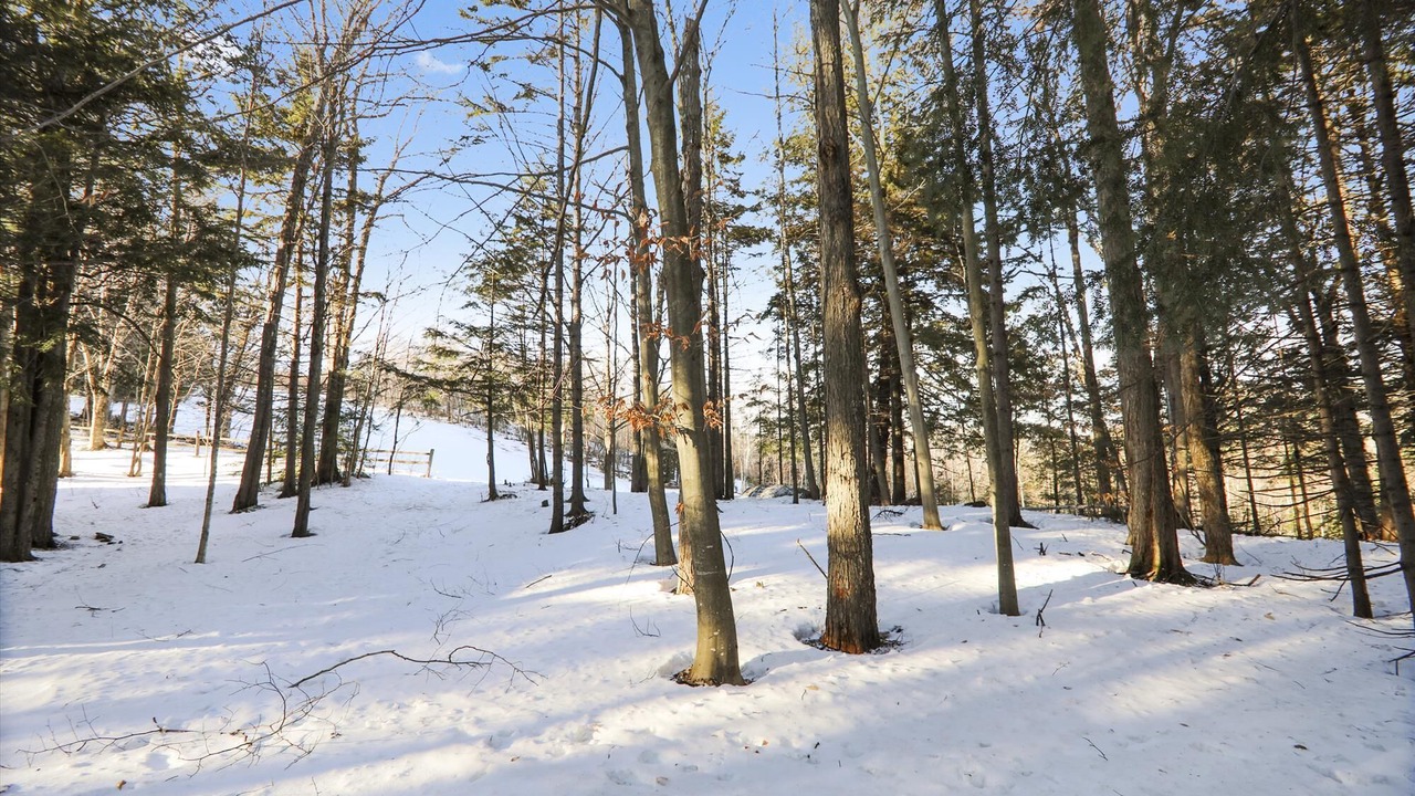 Photo of Others in Stowe Area