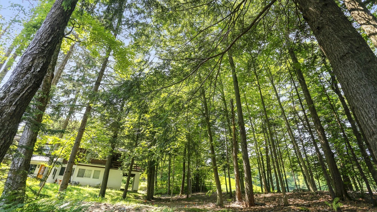 Photo of Outdoor in Stowe Area