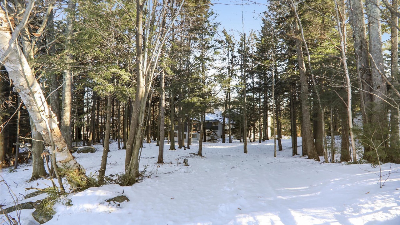 Photo of Others in Stowe Area