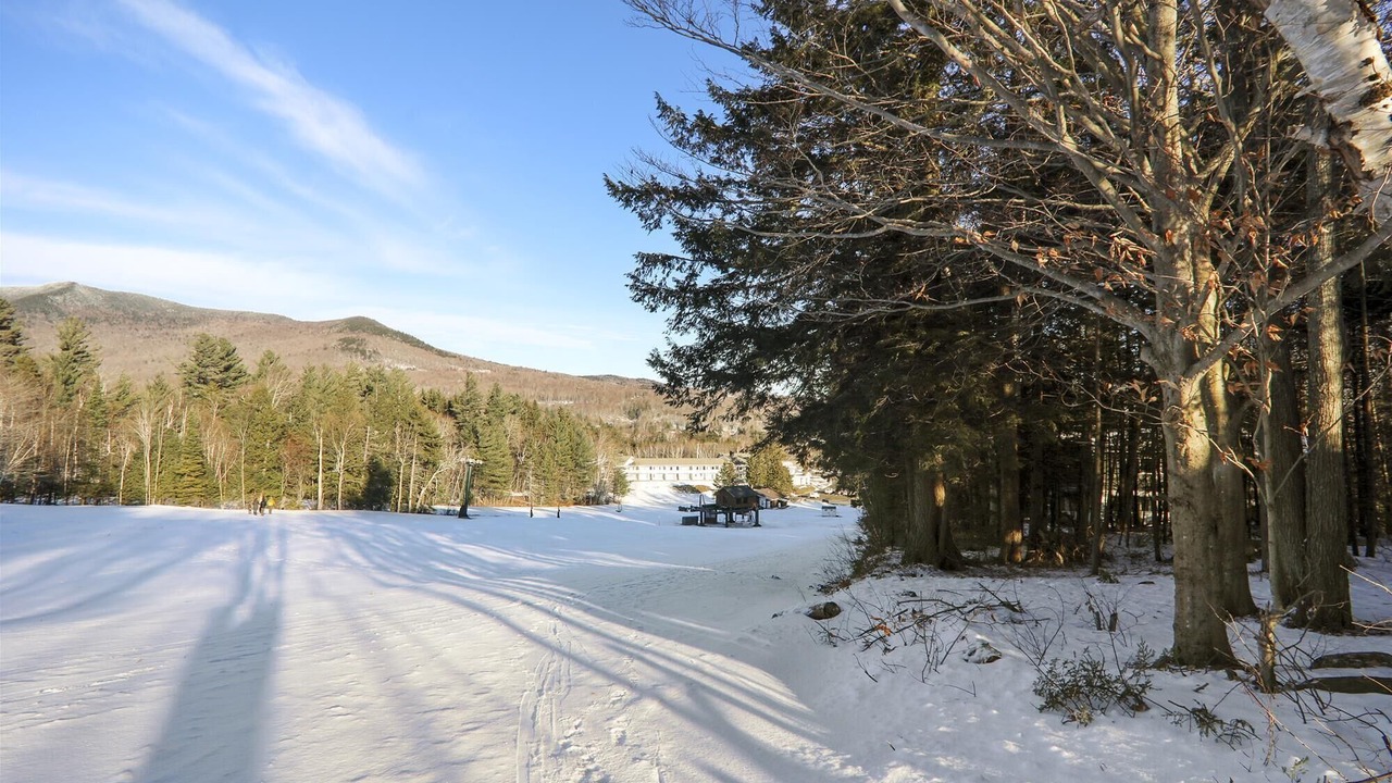 Photo of Others in Stowe Area