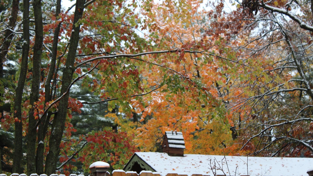 Photo of Outdoor in Chetek