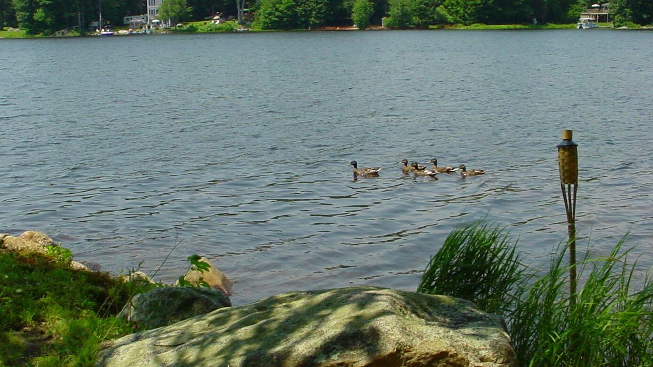 Photo of Others in Barrington