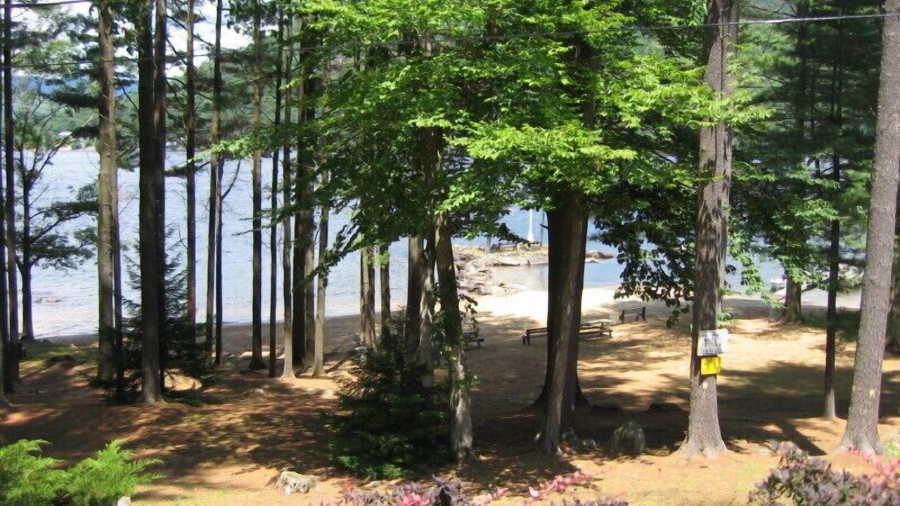 Photo of Others in Hadley