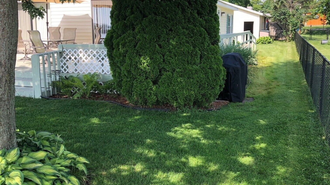 Photo of Outdoor in Shelbyville
