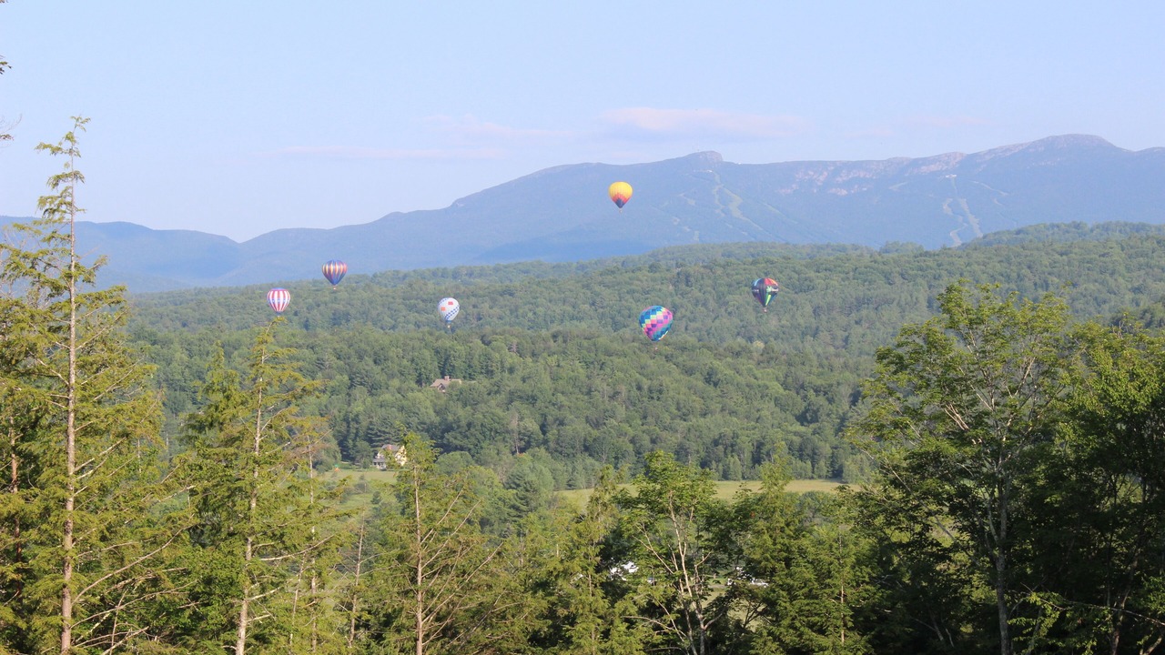 Photo of Others in Stowe