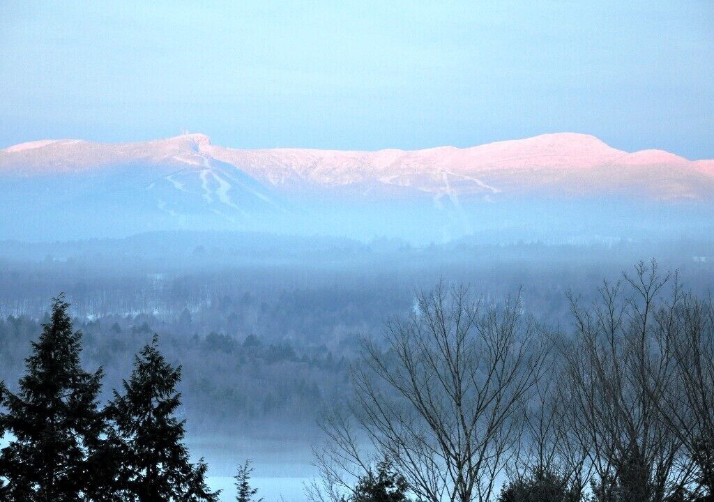 Photo of Others in Stowe
