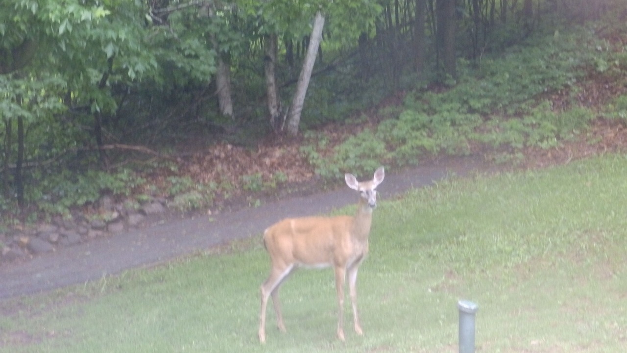 Photo of Others in Turtle Lake