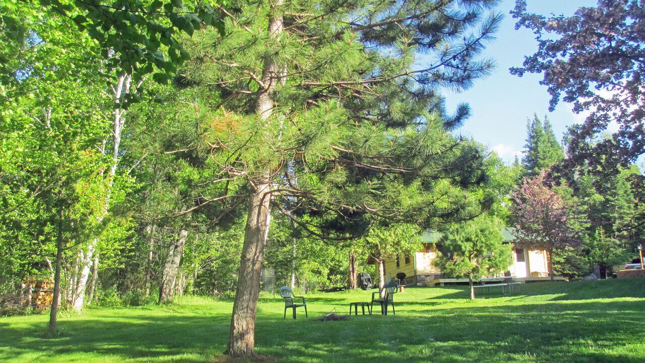 Photo of Outdoor in Tower