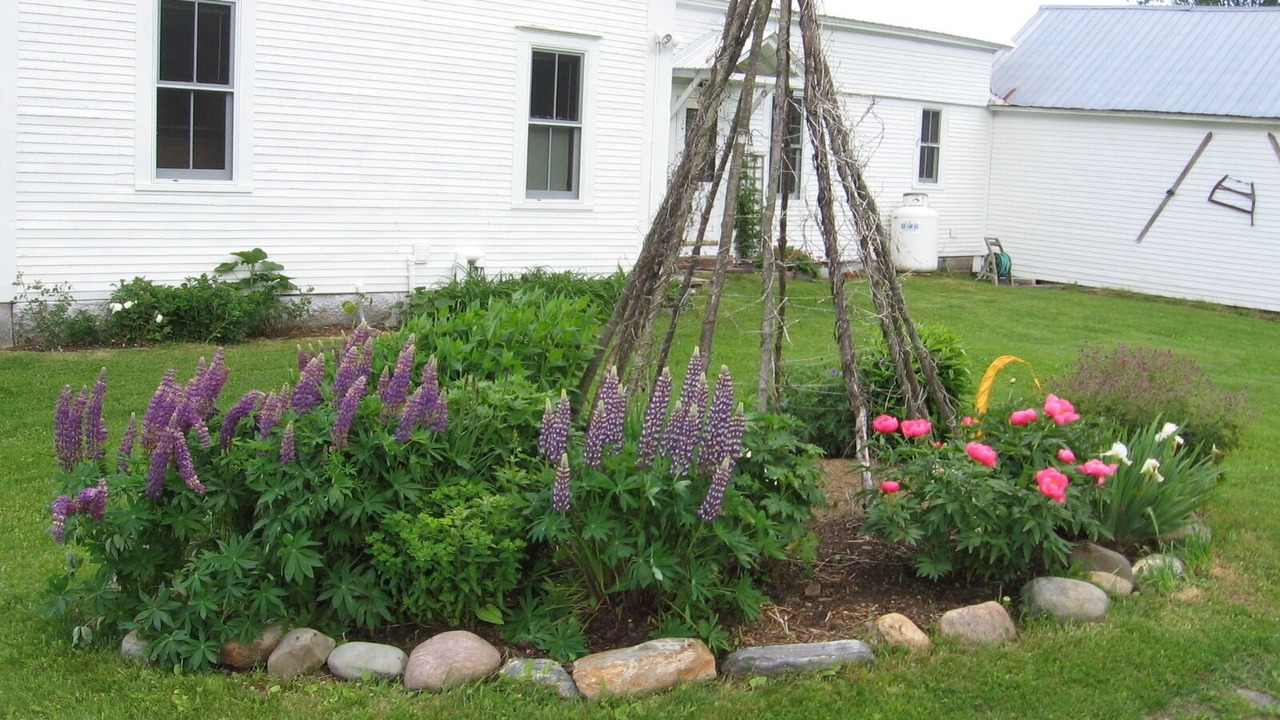 Photo of Outdoor in Craftsbury