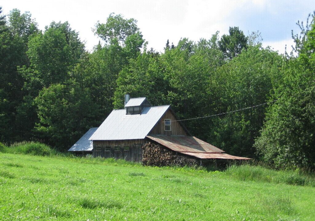 Photo of Others in Craftsbury