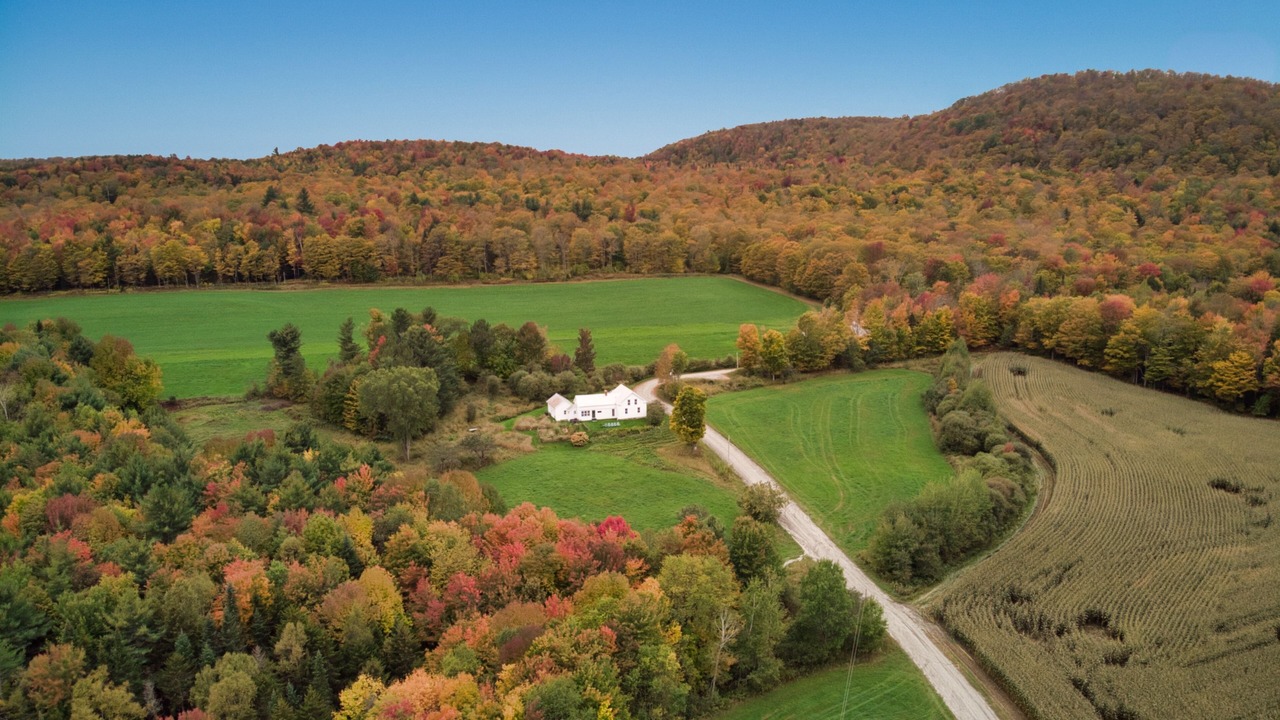 Photo of Outdoor in Craftsbury