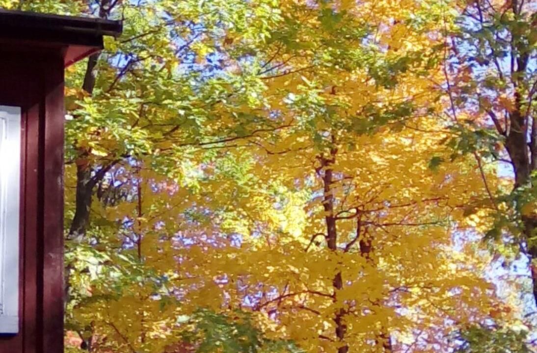 Photo of Outdoor in Keeseville