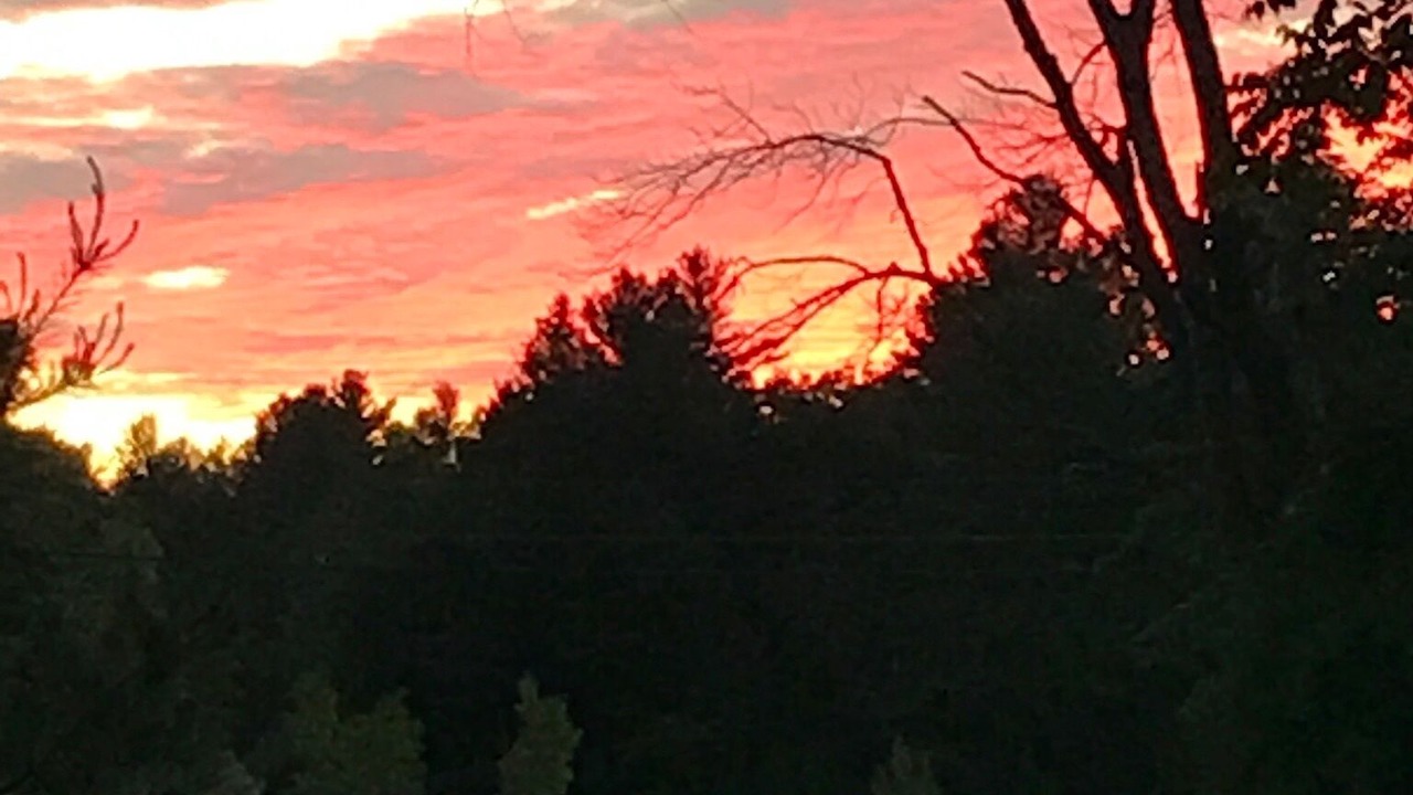 Photo of Outdoor in Hinsdale