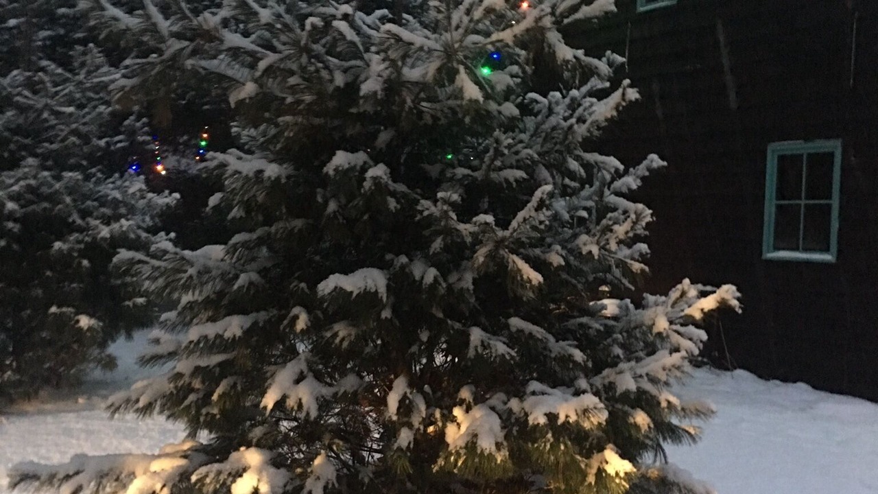 Photo of Outdoor in Hayward