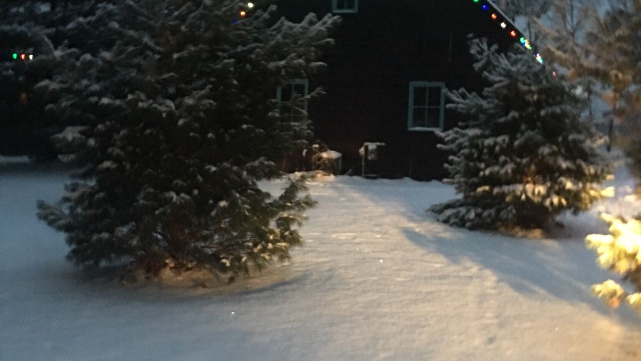 Photo of Outdoor in Hayward