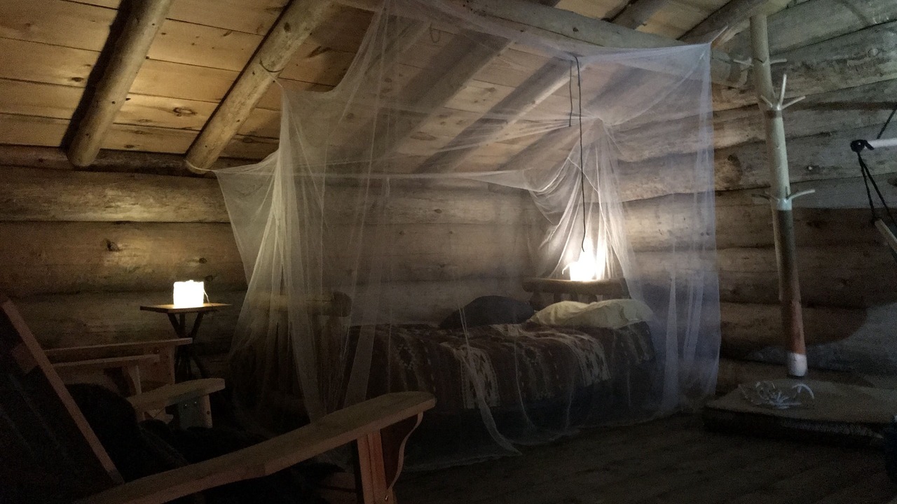 Photo of Bedroom in Meacham