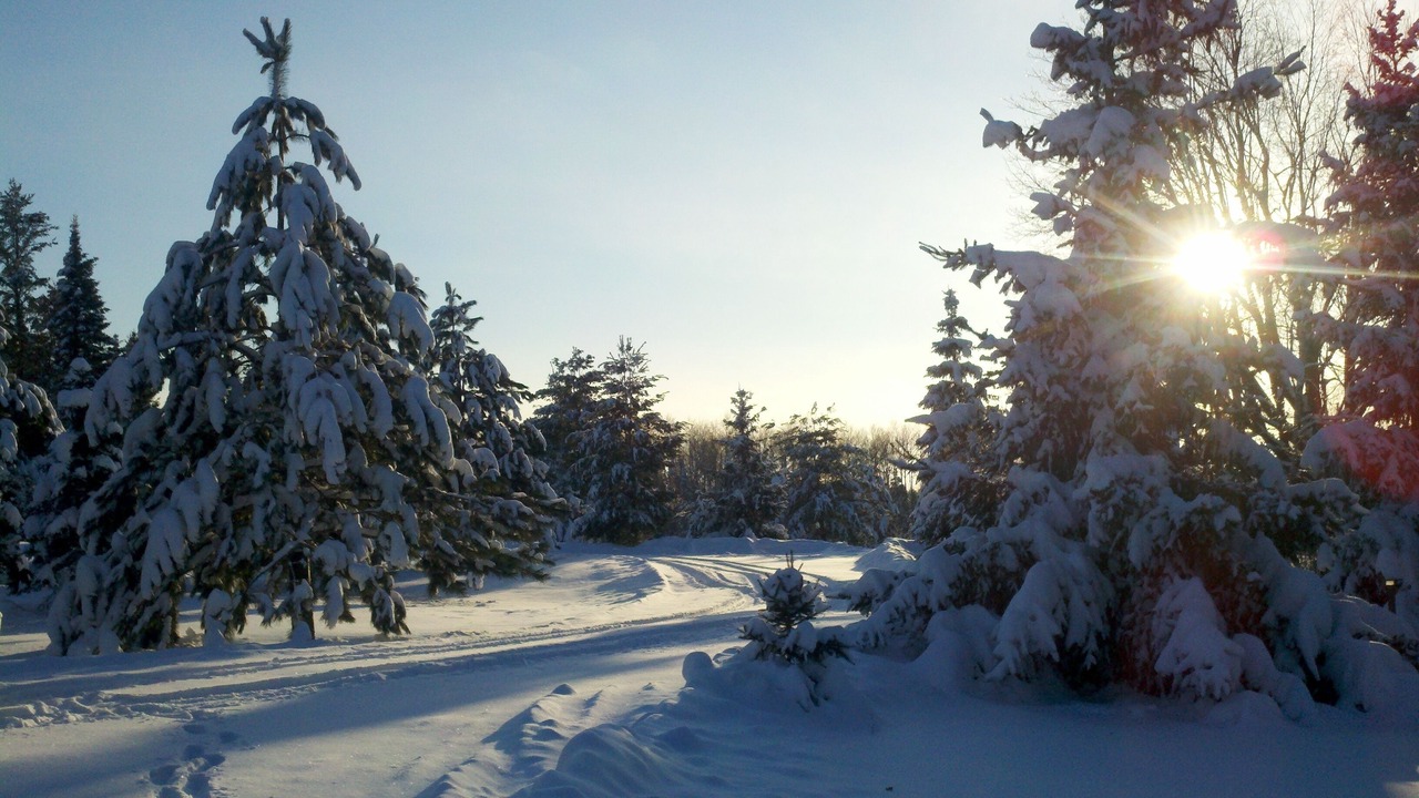 Photo of Others in Finlayson