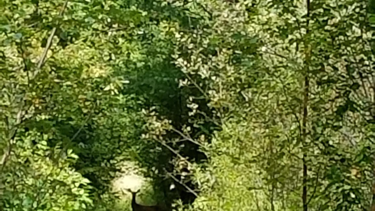 Photo of Others in Finlayson