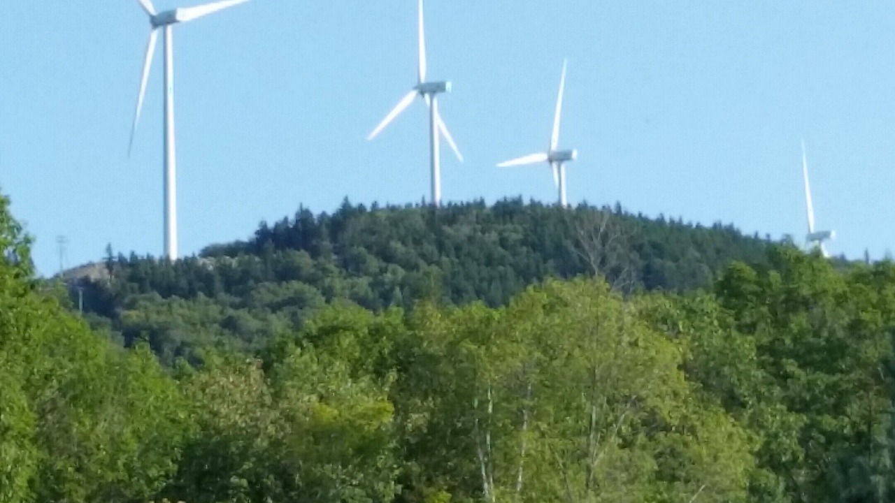 Photo of Others in Rumney
