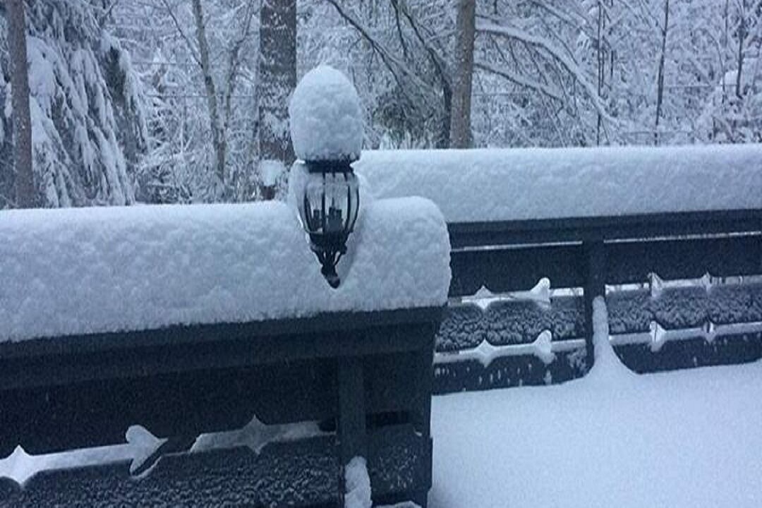 Photo of Outdoor in Jay