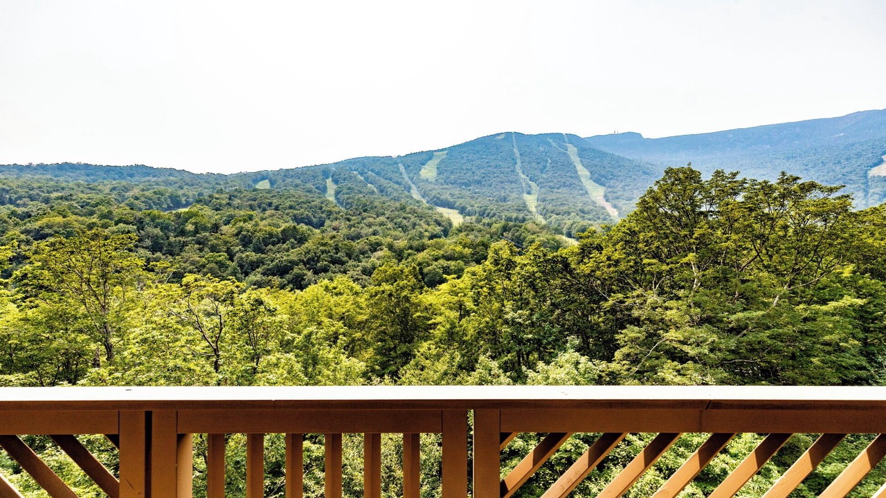 Photo of Outdoor in Stowe Area