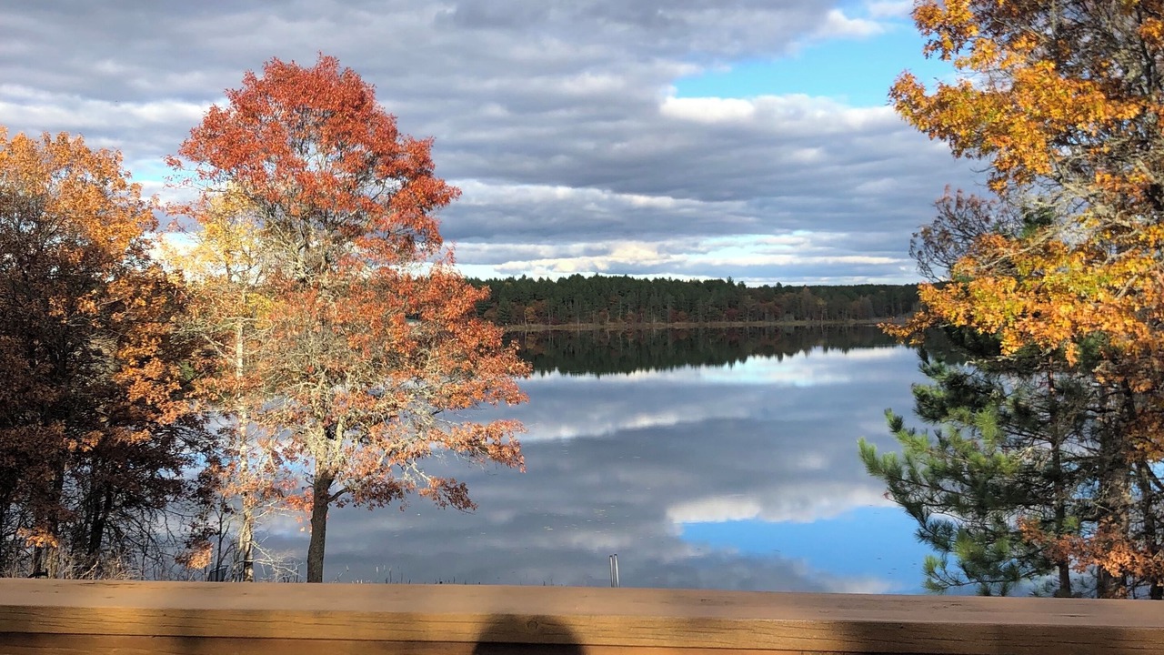 Photo of Outdoor in Gordon
