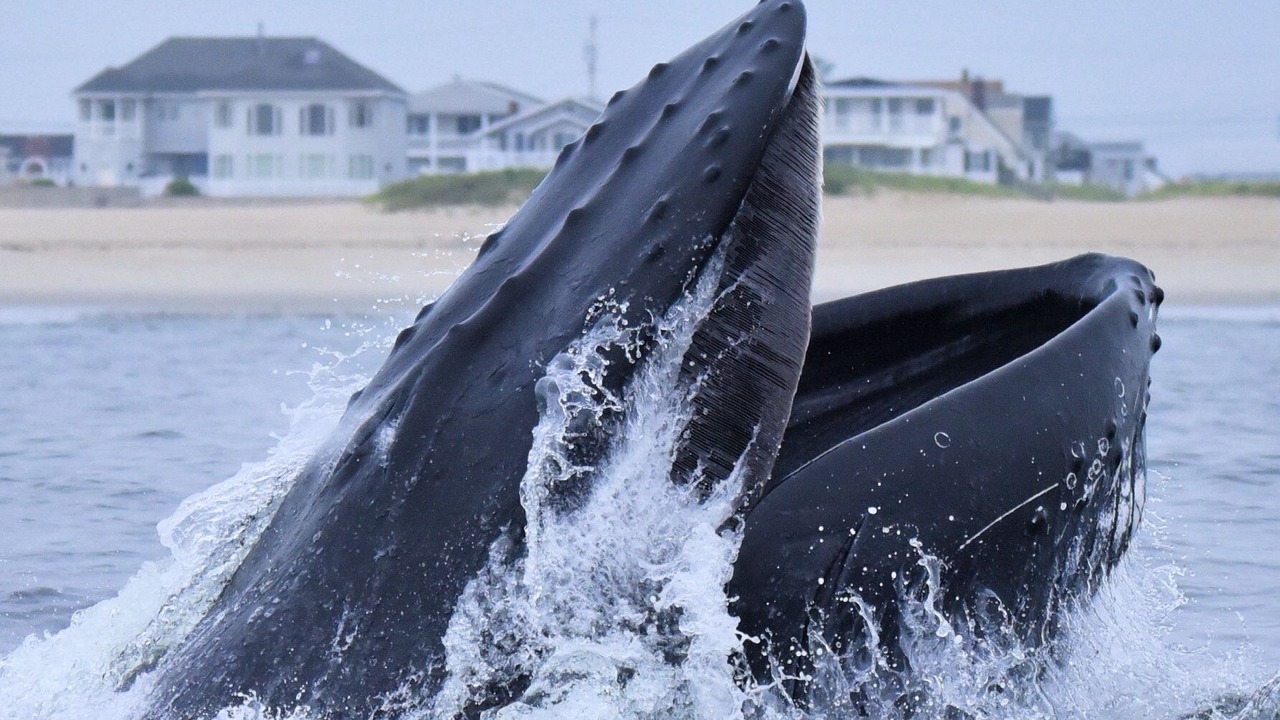 Photo of Others in Salisbury Beach