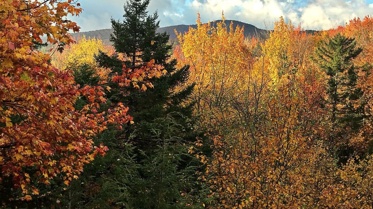 Photo of Outdoor in Johnson