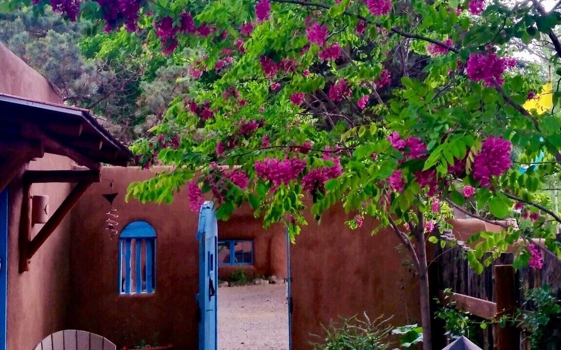 Photo of Others in Taos