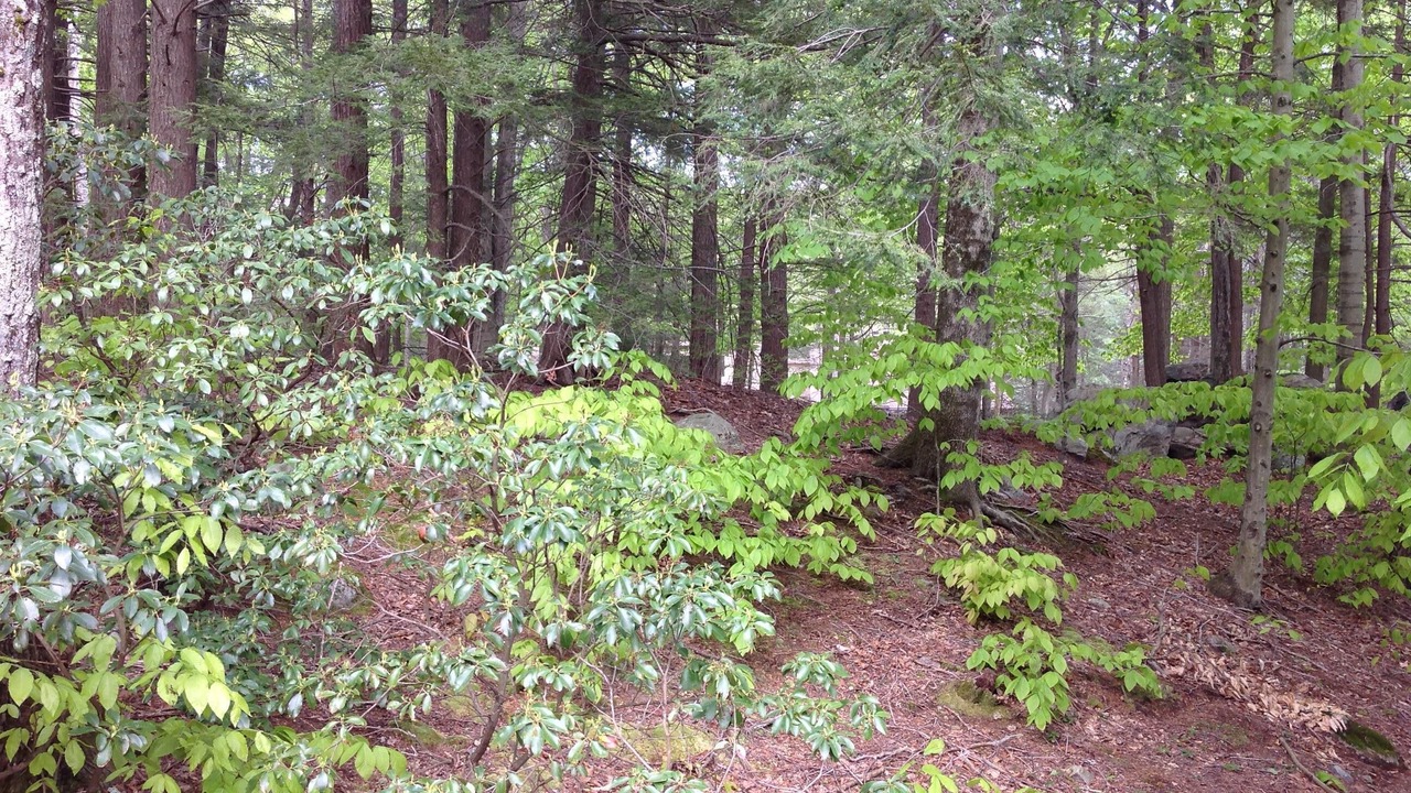 Photo of Others in Torrington