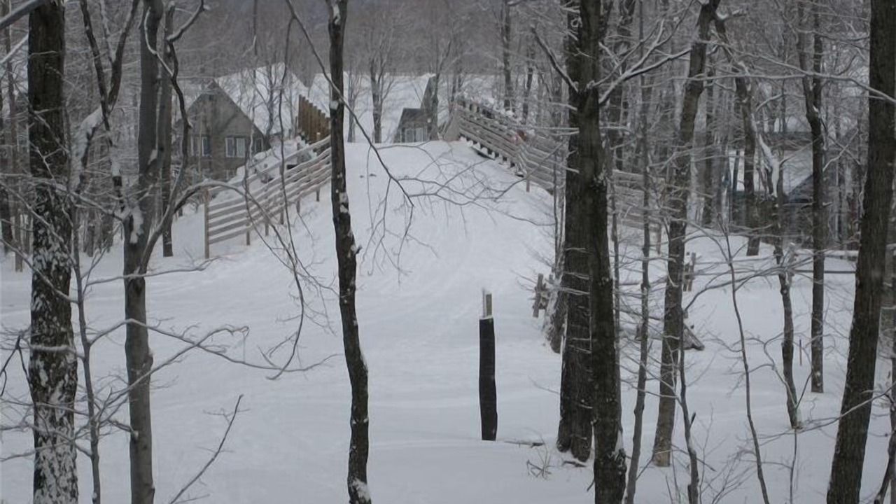 Photo of Others in North Troy