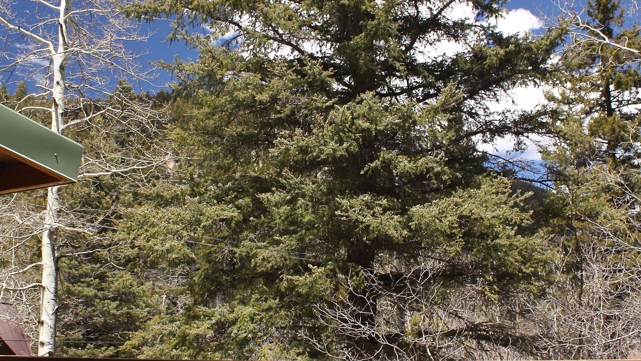 Photo of Outdoor in Taos Ski Valley