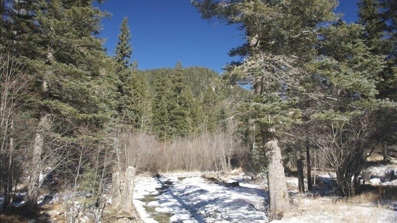 Photo of Others in Taos Ski Valley