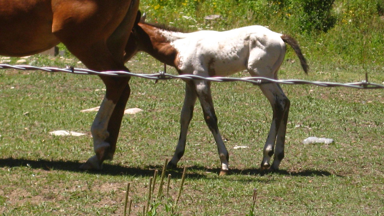 Photo of Outdoor in Tererro