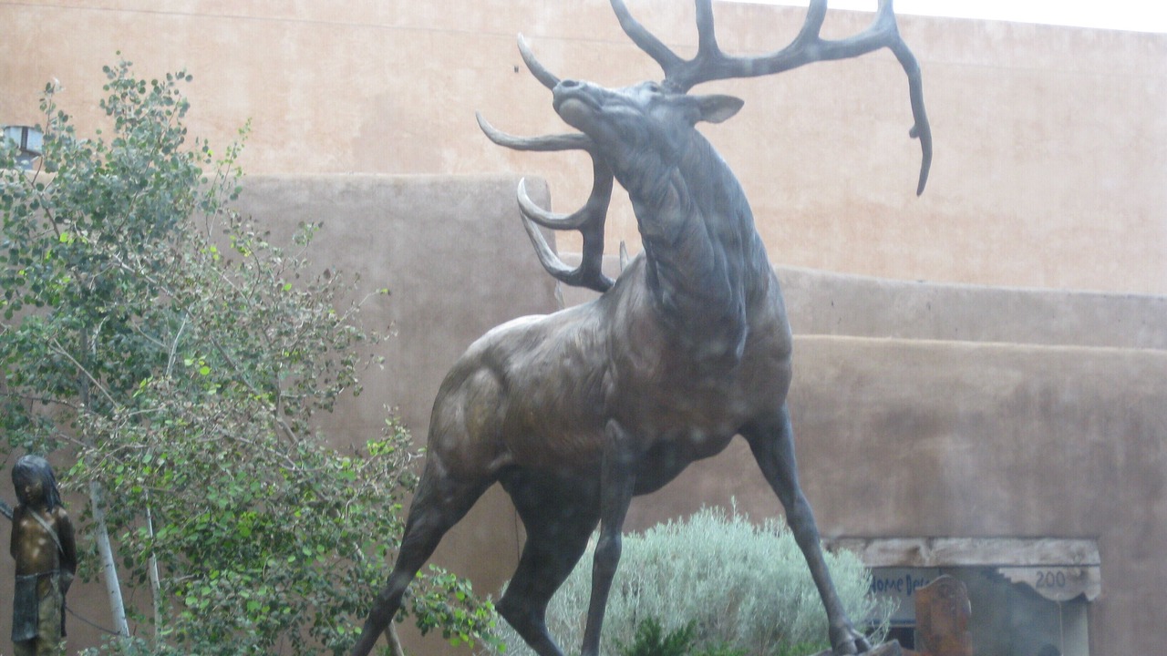 Photo of Outdoor in Tererro