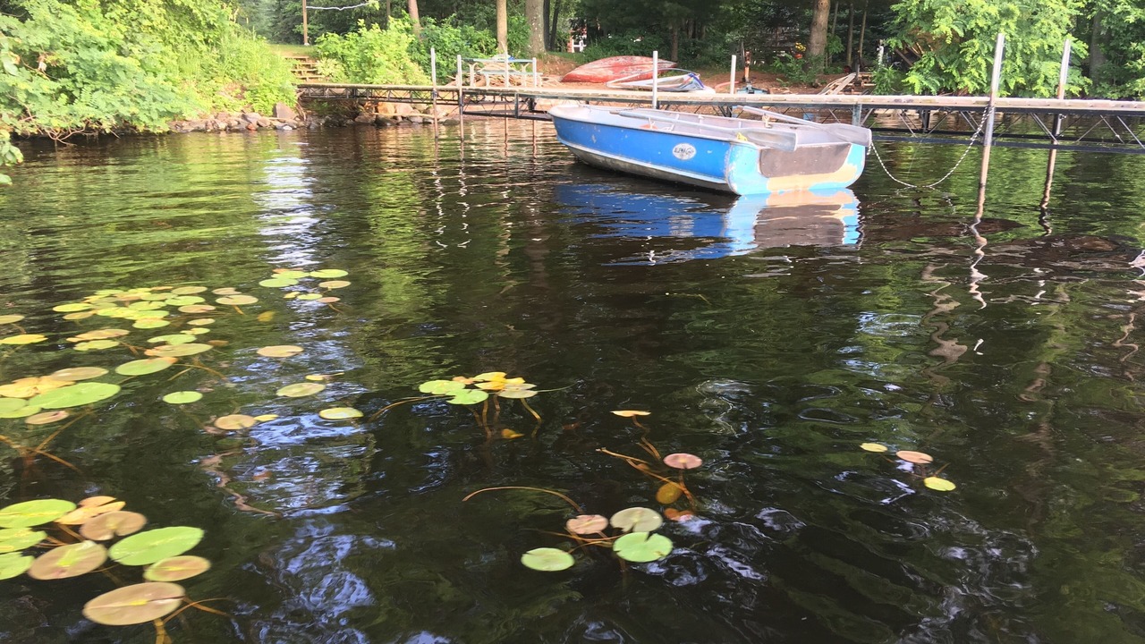 Photo of Outdoor in Lake Wissota
