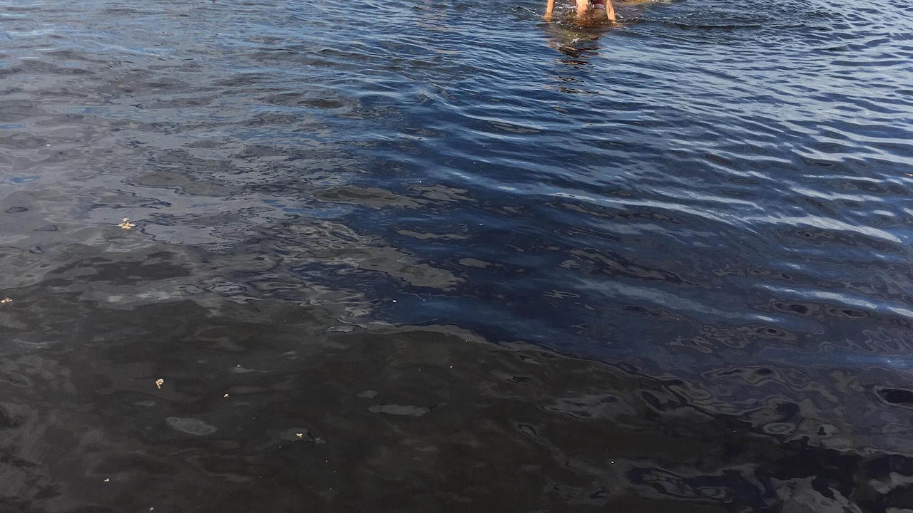 Photo of Others in Lake Wissota