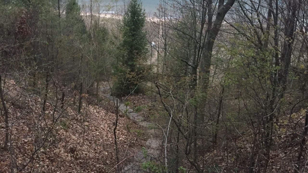 Photo of Outdoor in West Olive