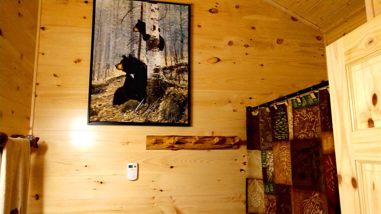 Photo of Bathroom in Luck