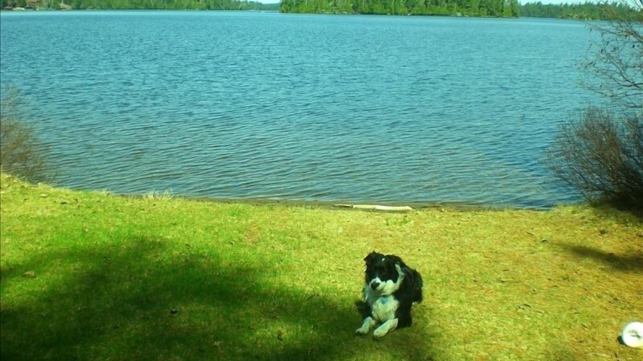 Photo of Others in Tupper Lake